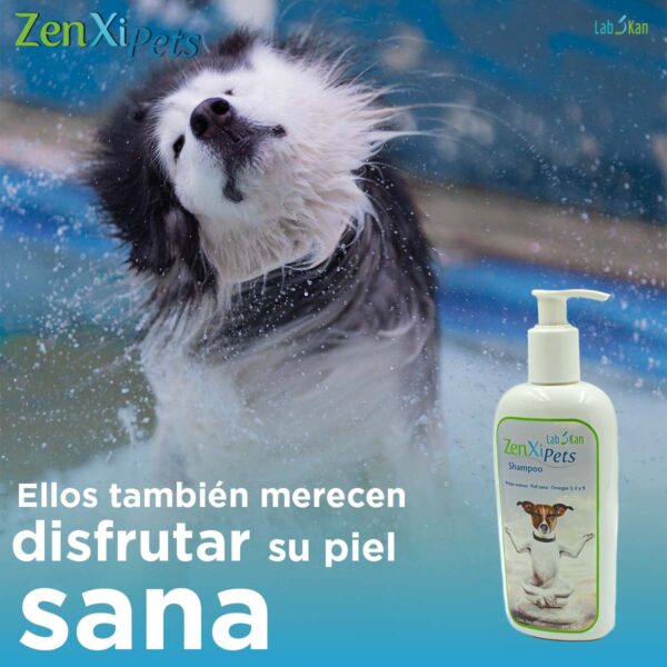 Shampoo para perro